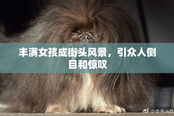 丰满女孩成街头风景，引众人侧目和惊叹