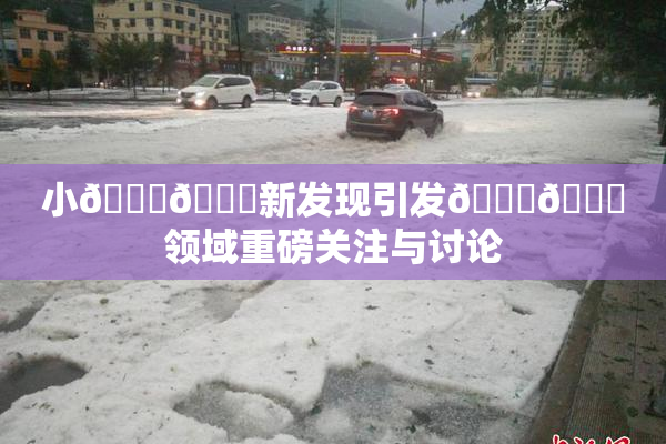 小🐔🐔新发现引发🍑🔞领域重磅关注与讨论