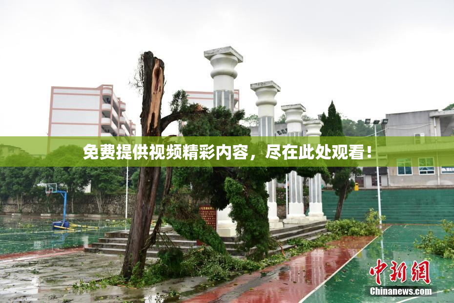 免费提供视频精彩内容，尽在此处观看！