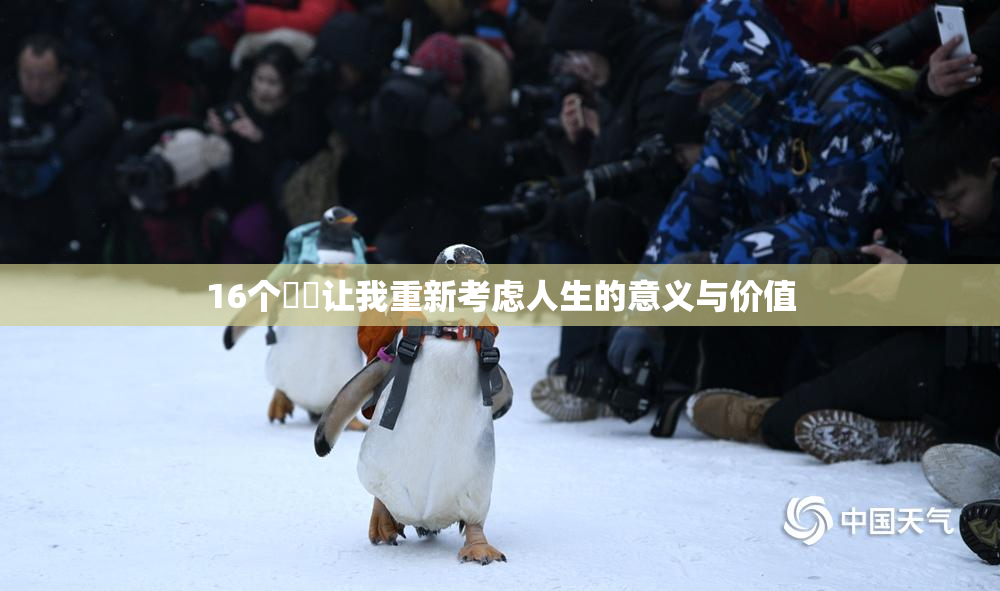 16个妺妺让我重新考虑人生的意义与价值