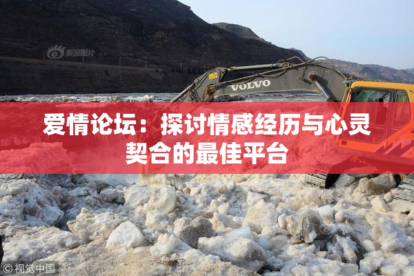 爱情论坛：探讨情感经历与心灵契合的最佳平台
