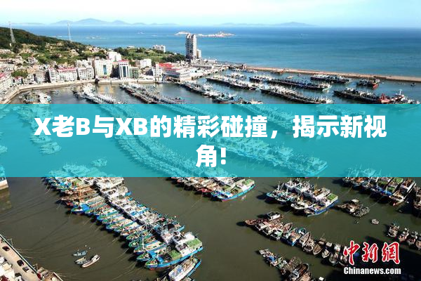 X老B与XB的精彩碰撞，揭示新视角!