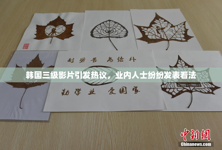 韩国三级影片引发热议，业内人士纷纷发表看法