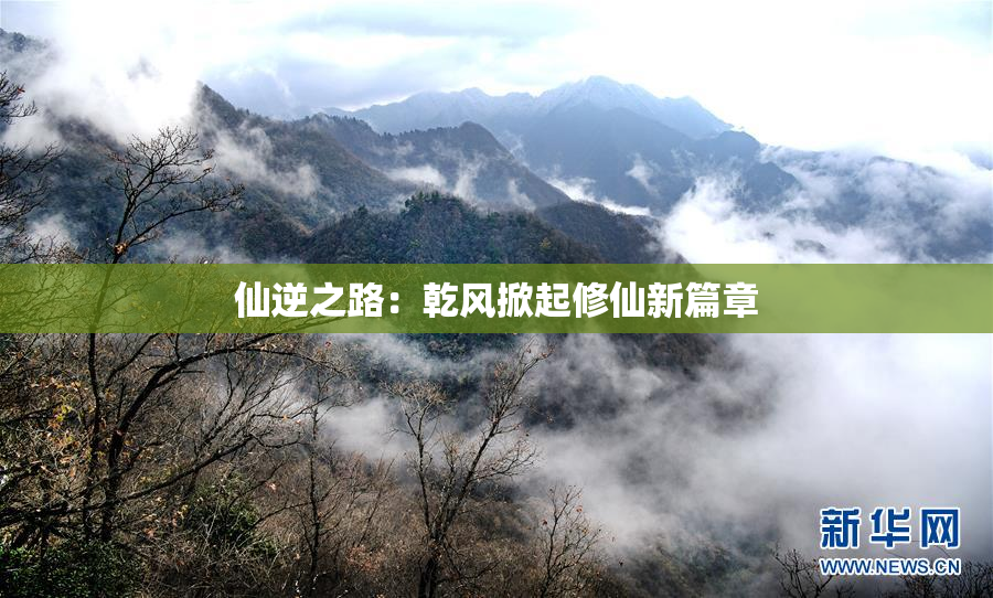 仙逆之路：乾风掀起修仙新篇章