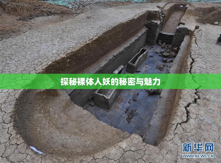 探秘裸体人妖的秘密与魅力