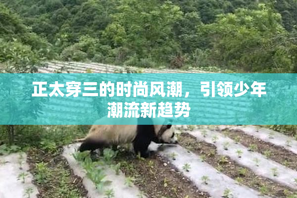 正太穿三的时尚风潮，引领少年潮流新趋势