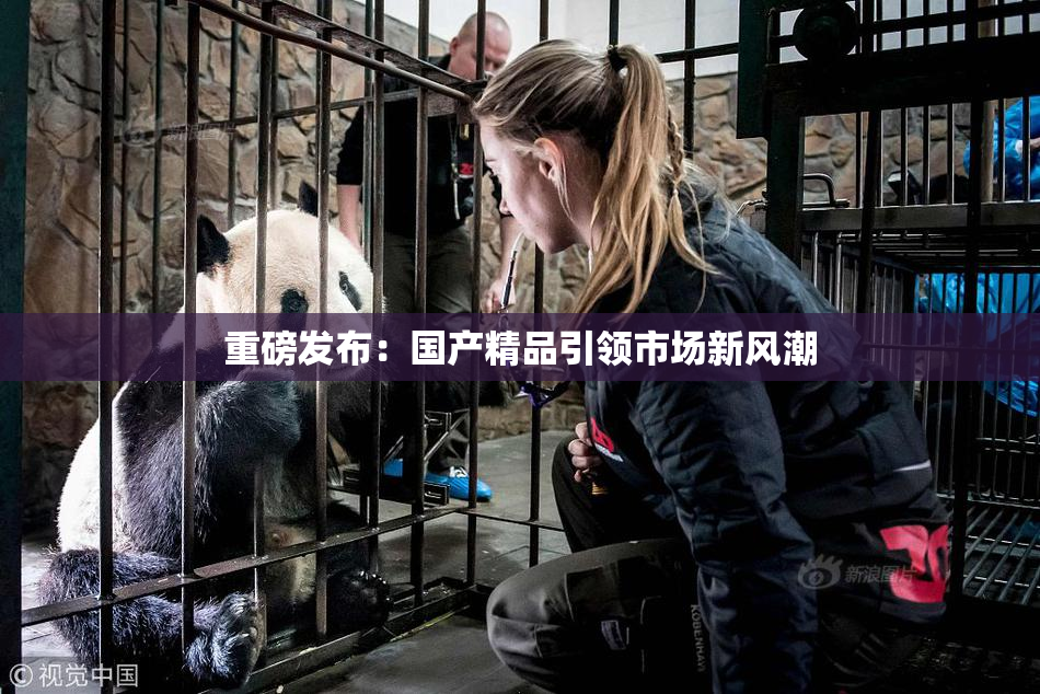 重磅发布：国产精品引领市场新风潮