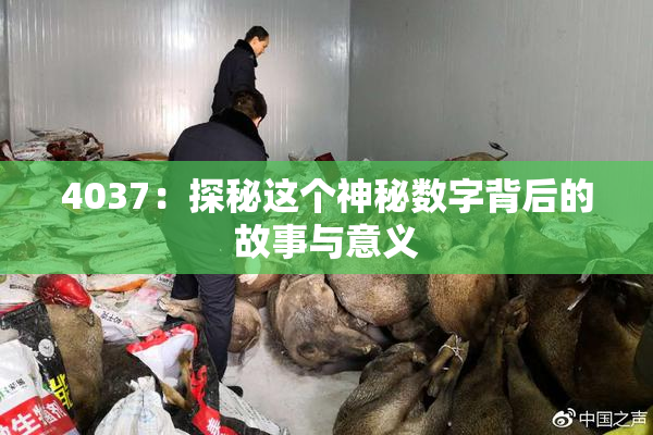 4037：探秘这个神秘数字背后的故事与意义