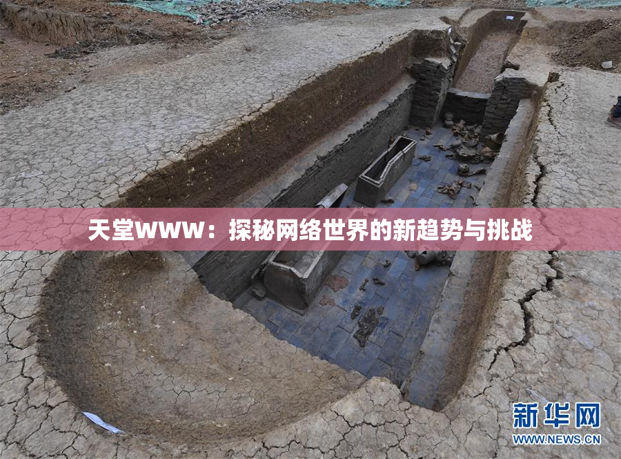 天堂WWW：探秘网络世界的新趋势与挑战