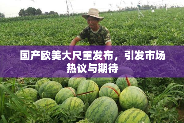 国产欧美大尺重发布，引发市场热议与期待