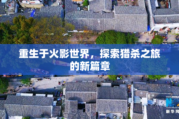 重生于火影世界，探索猎杀之旅的新篇章