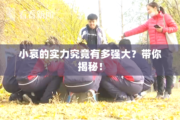 小哀的实力究竟有多强大？带你揭秘！
