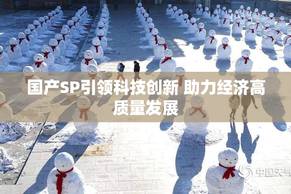 国产SP引领科技创新 助力经济高质量发展