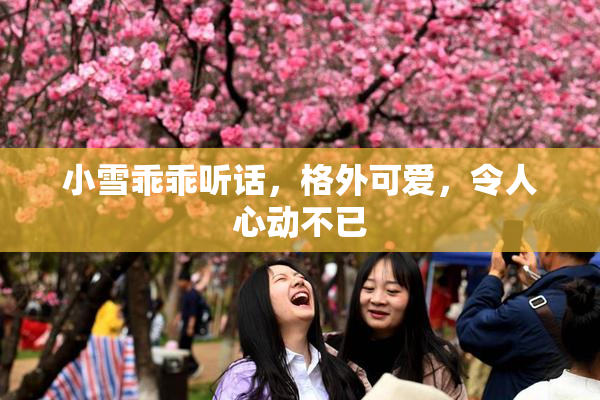 小雪乖乖听话，格外可爱，令人心动不已