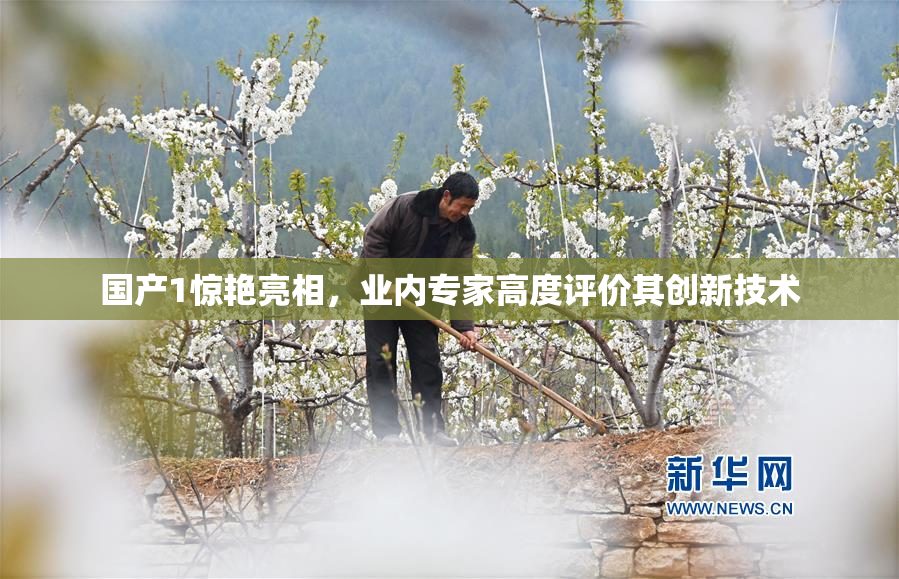 国产1惊艳亮相，业内专家高度评价其创新技术