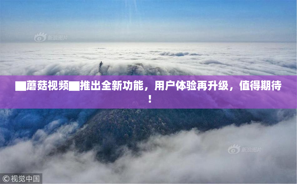 ▇蘑菇视频▇推出全新功能，用户体验再升级，值得期待！