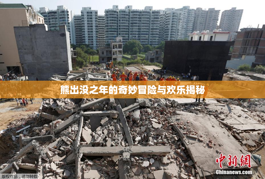熊出没之年的奇妙冒险与欢乐揭秘