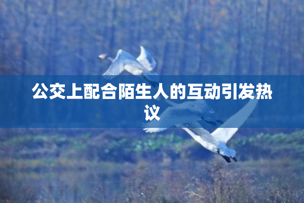公交上配合陌生人的互动引发热议