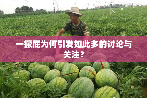 一撅屁为何引发如此多的讨论与关注？