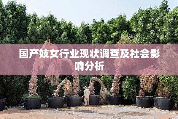 国产妓女行业现状调查及社会影响分析