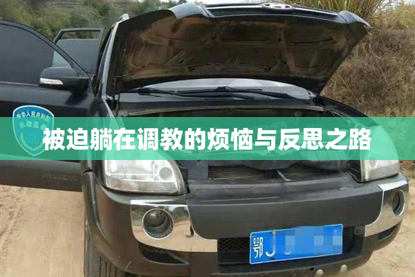 被迫躺在调教的烦恼与反思之路