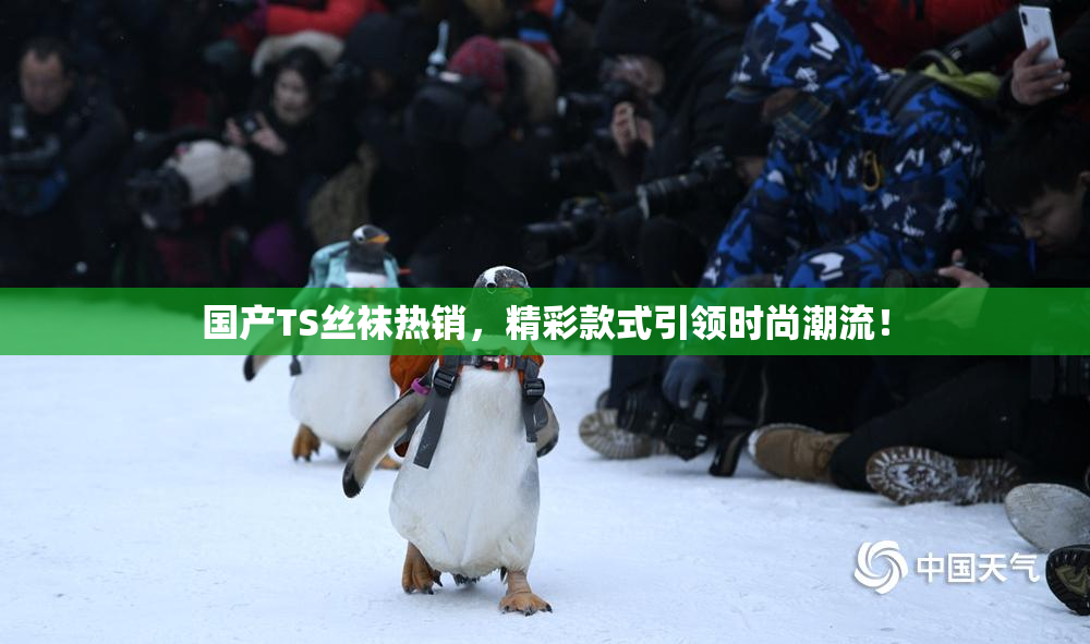 国产TS丝袜热销，精彩款式引领时尚潮流！