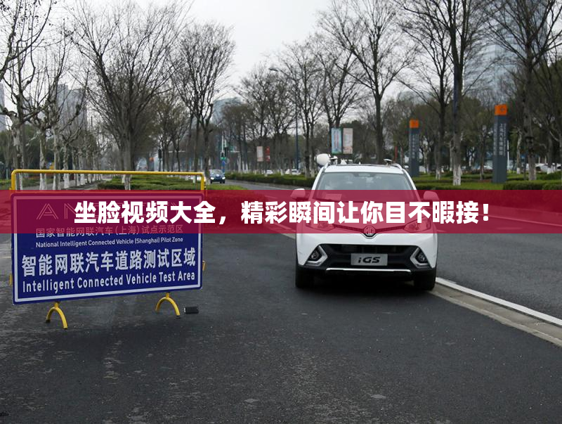 坐脸视频大全，精彩瞬间让你目不暇接！