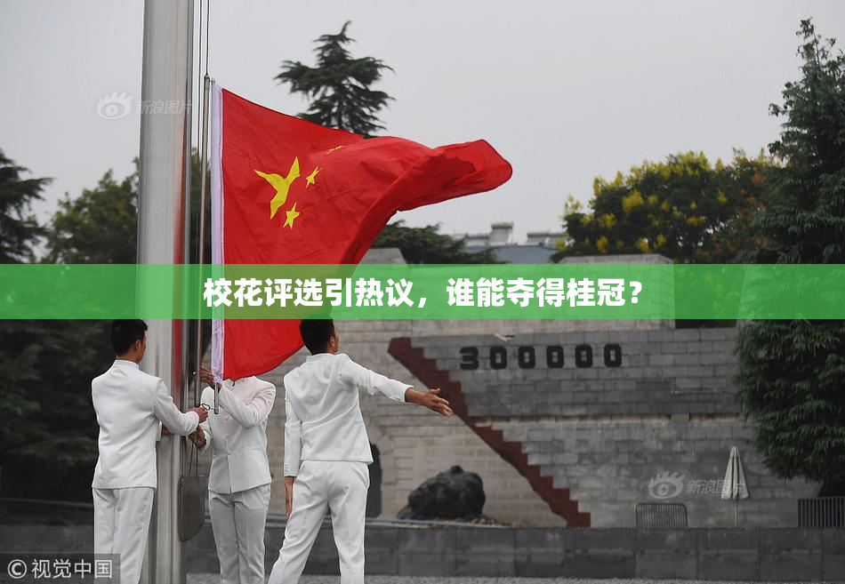 校花评选引热议，谁能夺得桂冠？