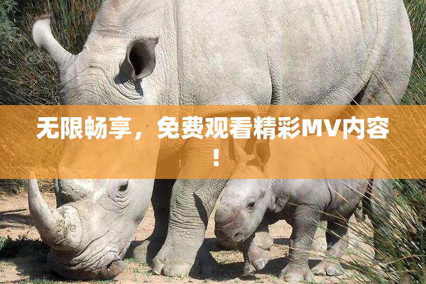无限畅享，免费观看精彩MV内容！