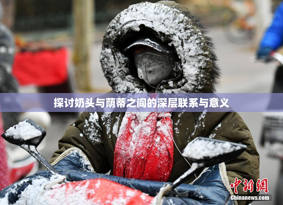 探讨奶头与荫蒂之间的深层联系与意义