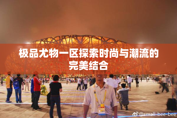 极品尤物一区探索时尚与潮流的完美结合