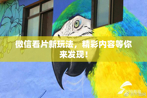 微信看片新玩法，精彩内容等你来发现！