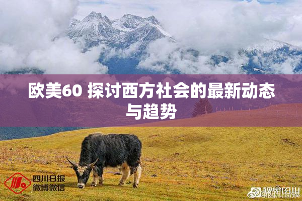欧美60 探讨西方社会的最新动态与趋势