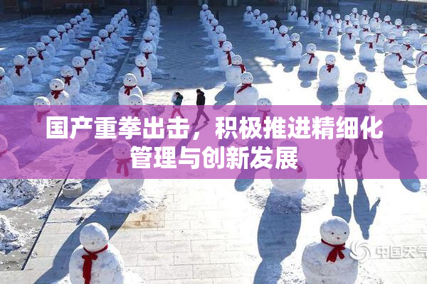 国产重拳出击，积极推进精细化管理与创新发展