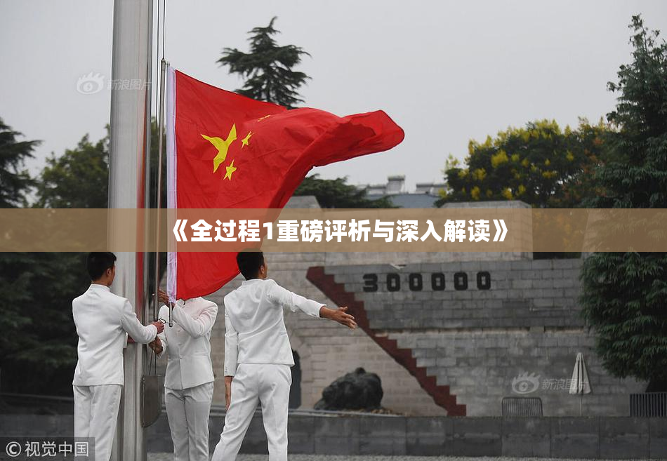 《全过程1重磅评析与深入解读》