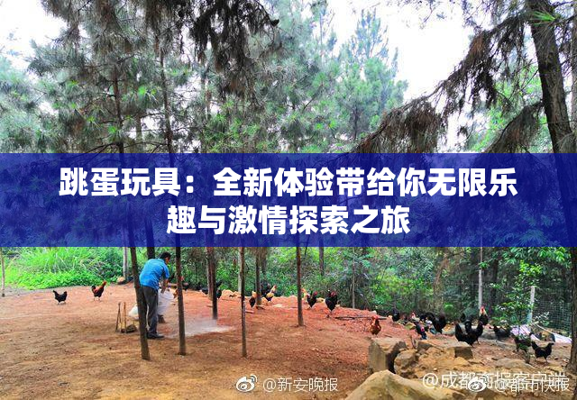 跳蛋玩具：全新体验带给你无限乐趣与激情探索之旅