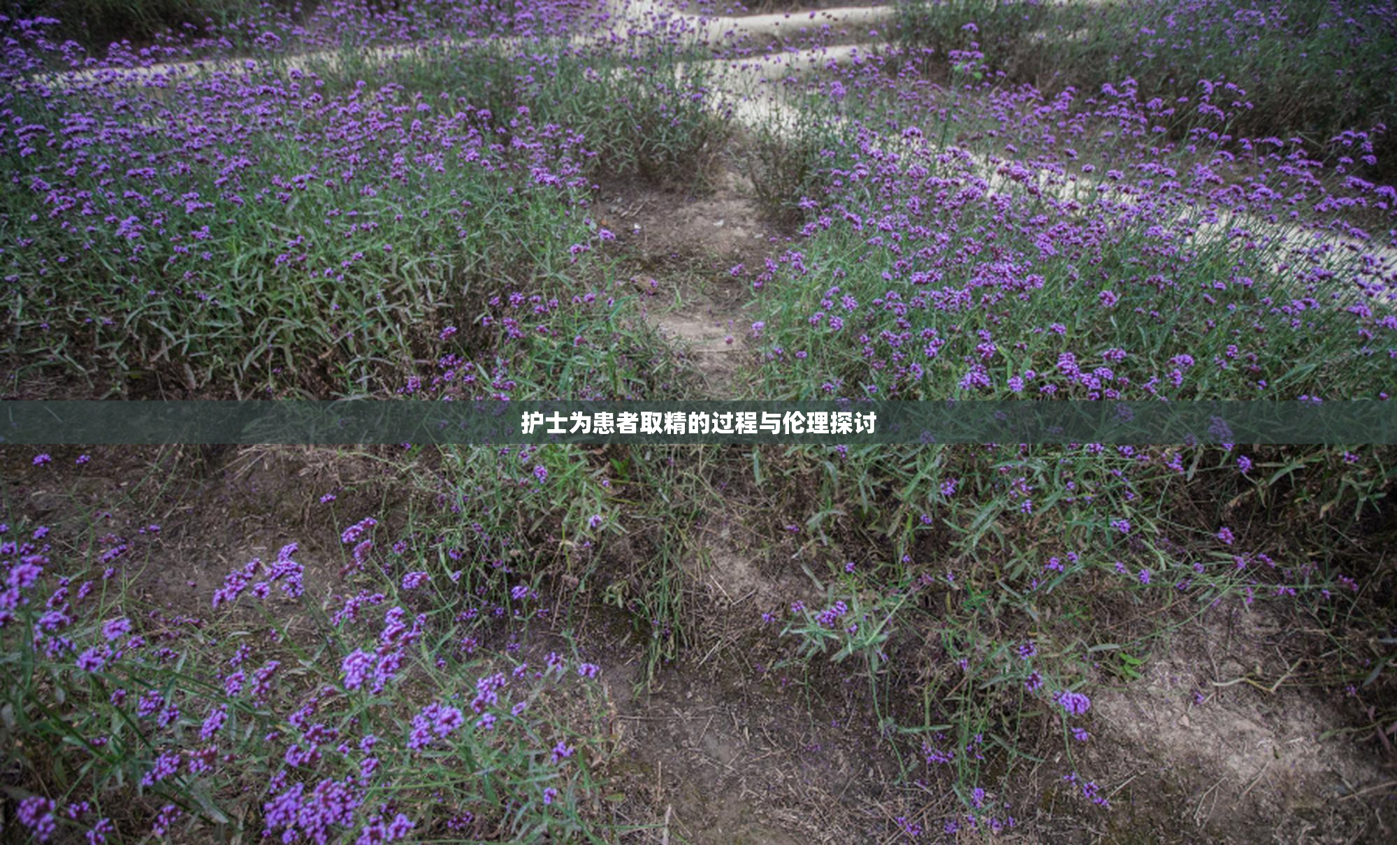 护士为患者取精的过程与伦理探讨