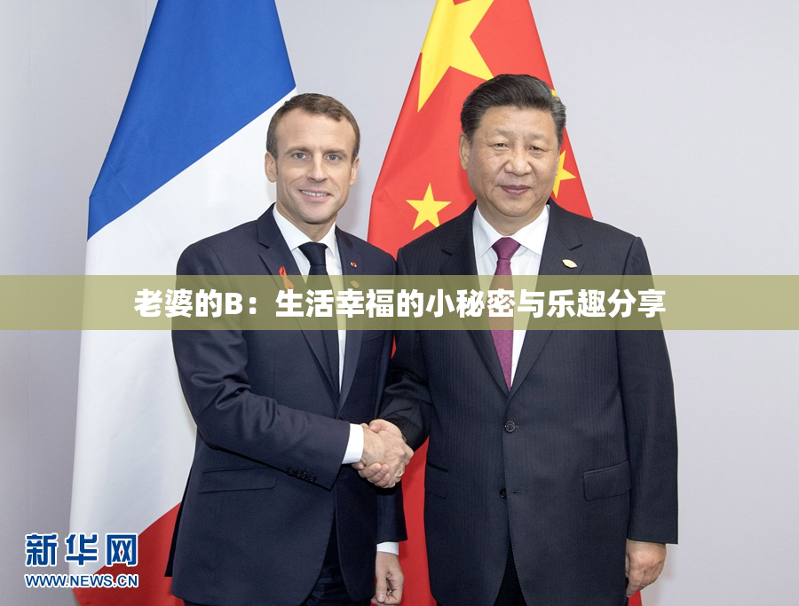 老婆的B：生活幸福的小秘密与乐趣分享