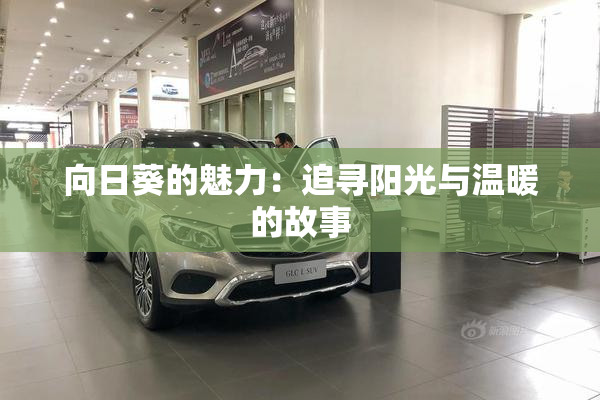 向日葵的魅力：追寻阳光与温暖的故事
