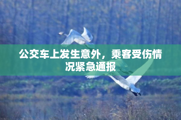公交车上发生意外，乘客受伤情况紧急通报