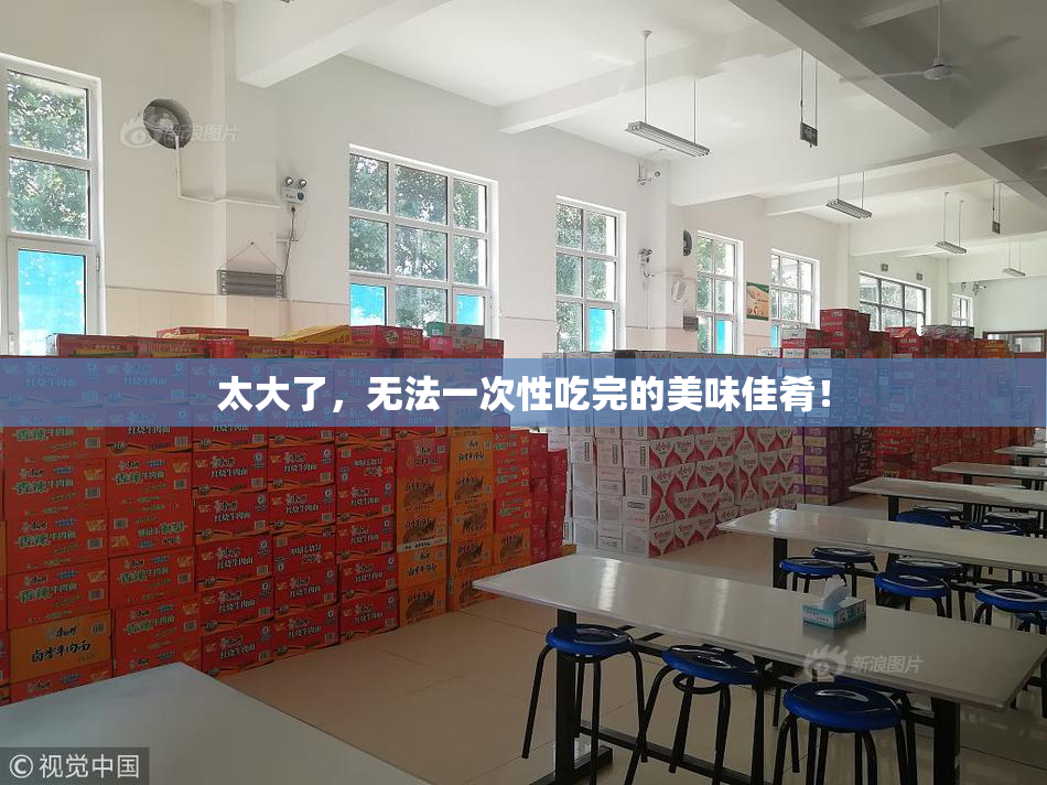 太大了，无法一次性吃完的美味佳肴！