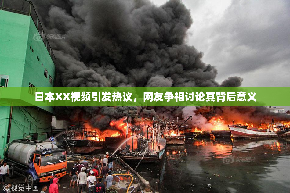 日本XX视频引发热议，网友争相讨论其背后意义