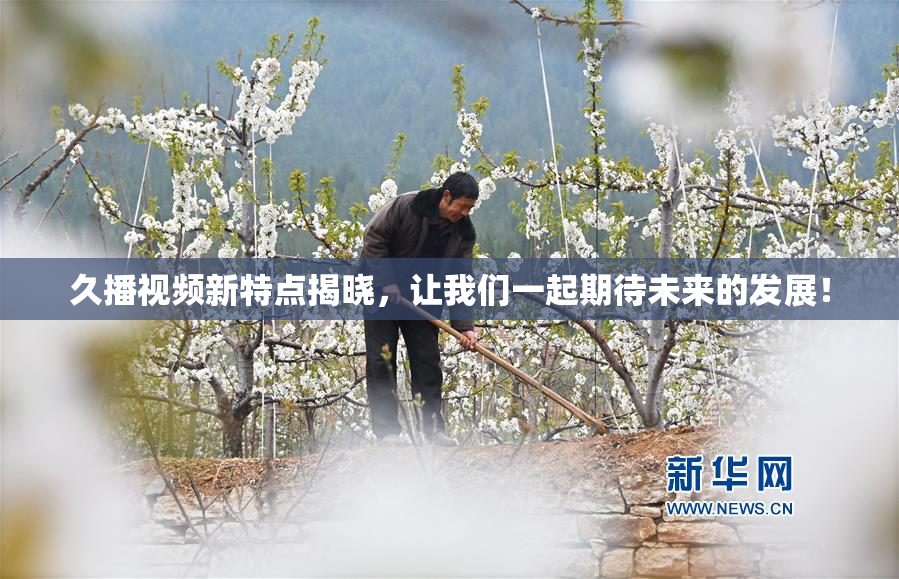 久播视频新特点揭晓，让我们一起期待未来的发展！