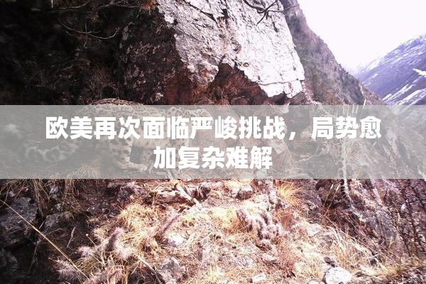 欧美再次面临严峻挑战，局势愈加复杂难解