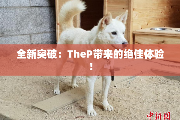 全新突破：TheP带来的绝佳体验！