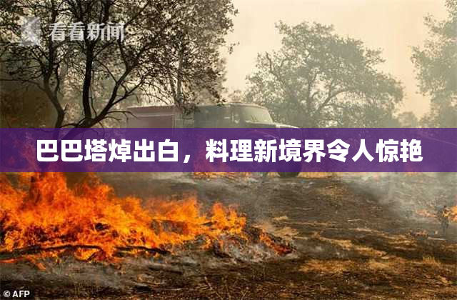 巴巴塔焯出白，料理新境界令人惊艳