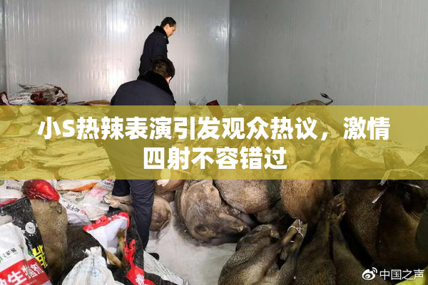 小S热辣表演引发观众热议，激情四射不容错过
