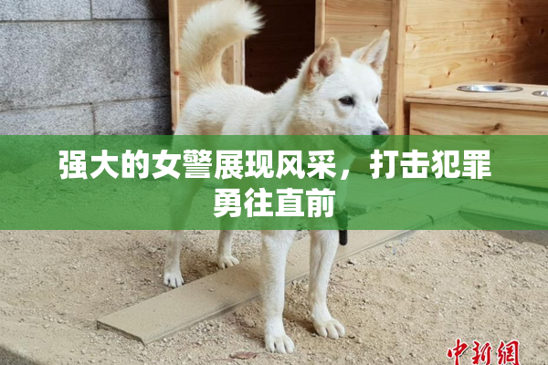 强大的女警展现风采，打击犯罪勇往直前