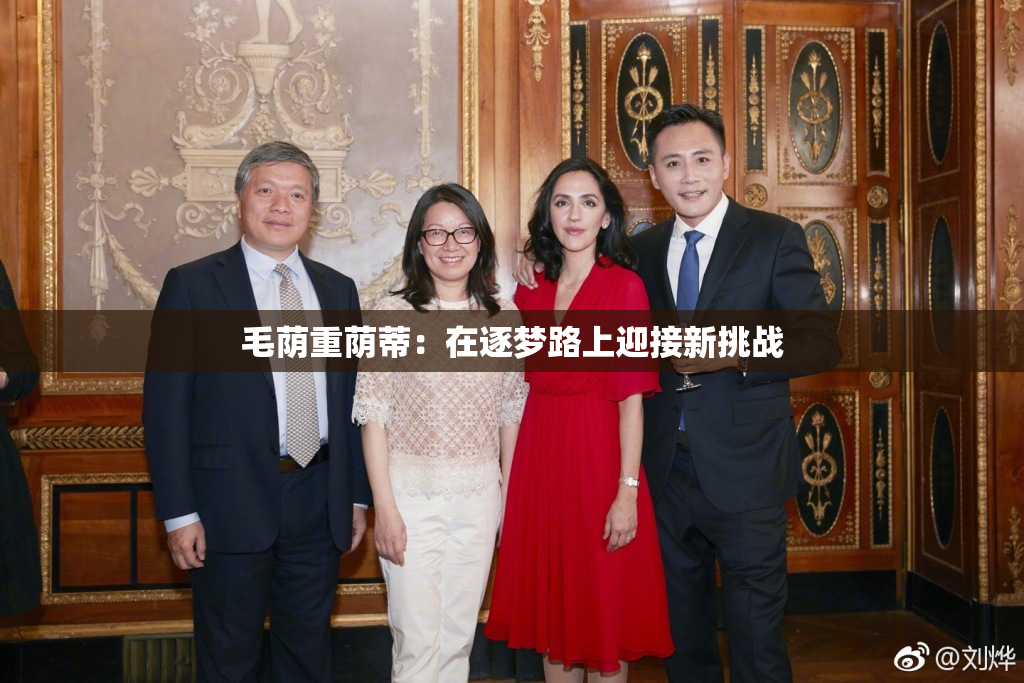毛荫重荫蒂：在逐梦路上迎接新挑战