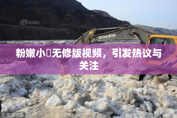 粉嫩小泬无修版视频，引发热议与关注